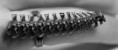 /album/anillos1/fashion-punk-rock-dragon-bone-spinal-skeleton-finger-ring-3-colors1-73EUR-jpg/